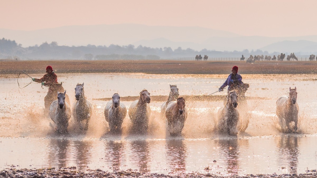 克什克腾旗------疾马飞浪（二）