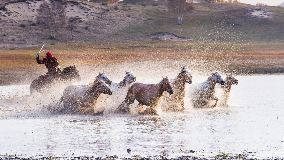 克什克腾旗------疾马飞浪（二）