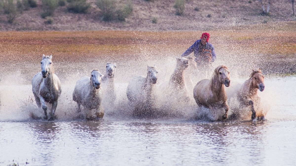 克什克腾旗------疾马飞浪（二）