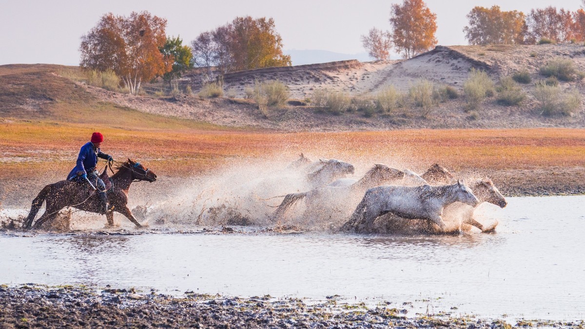 克什克腾旗------疾马飞浪（二）