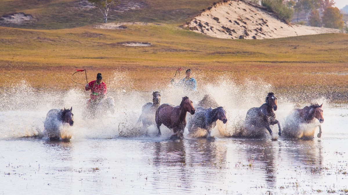 克什克腾旗------疾马飞浪（二）