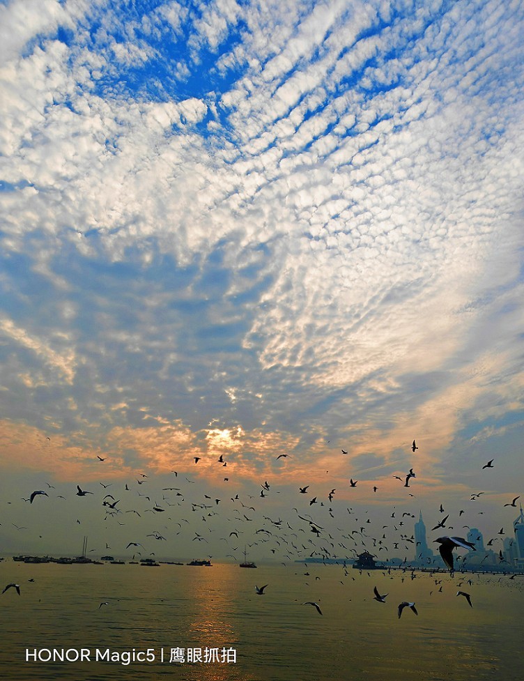 仓促试机《瞎拍》片，买了个新手机还不熟悉，赶紧调教准备上任，哈哈！