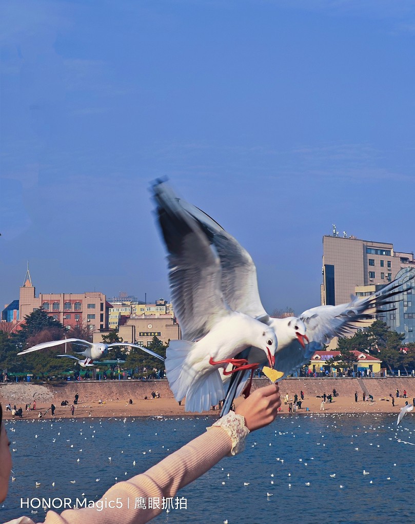 仓促试机《瞎拍》片，买了个新手机还不熟悉，赶紧调教准备上任，哈哈！