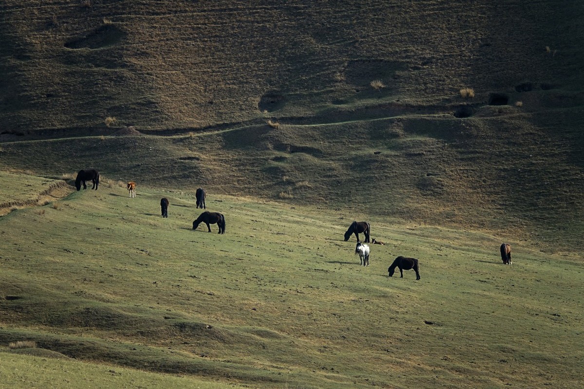 甘肃高台县走裕固县沿途所见
