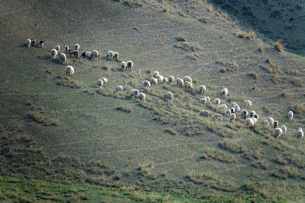 甘肃高台县走裕固县沿途所见