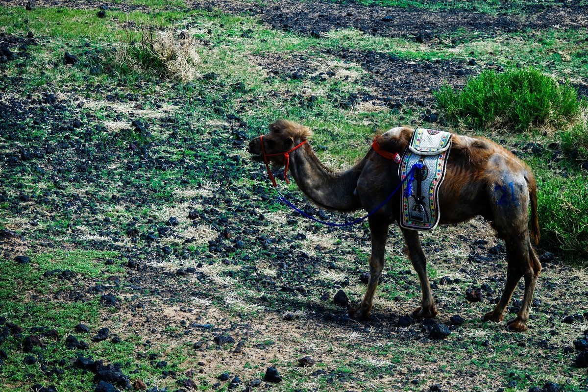去不了火星来看火山吧