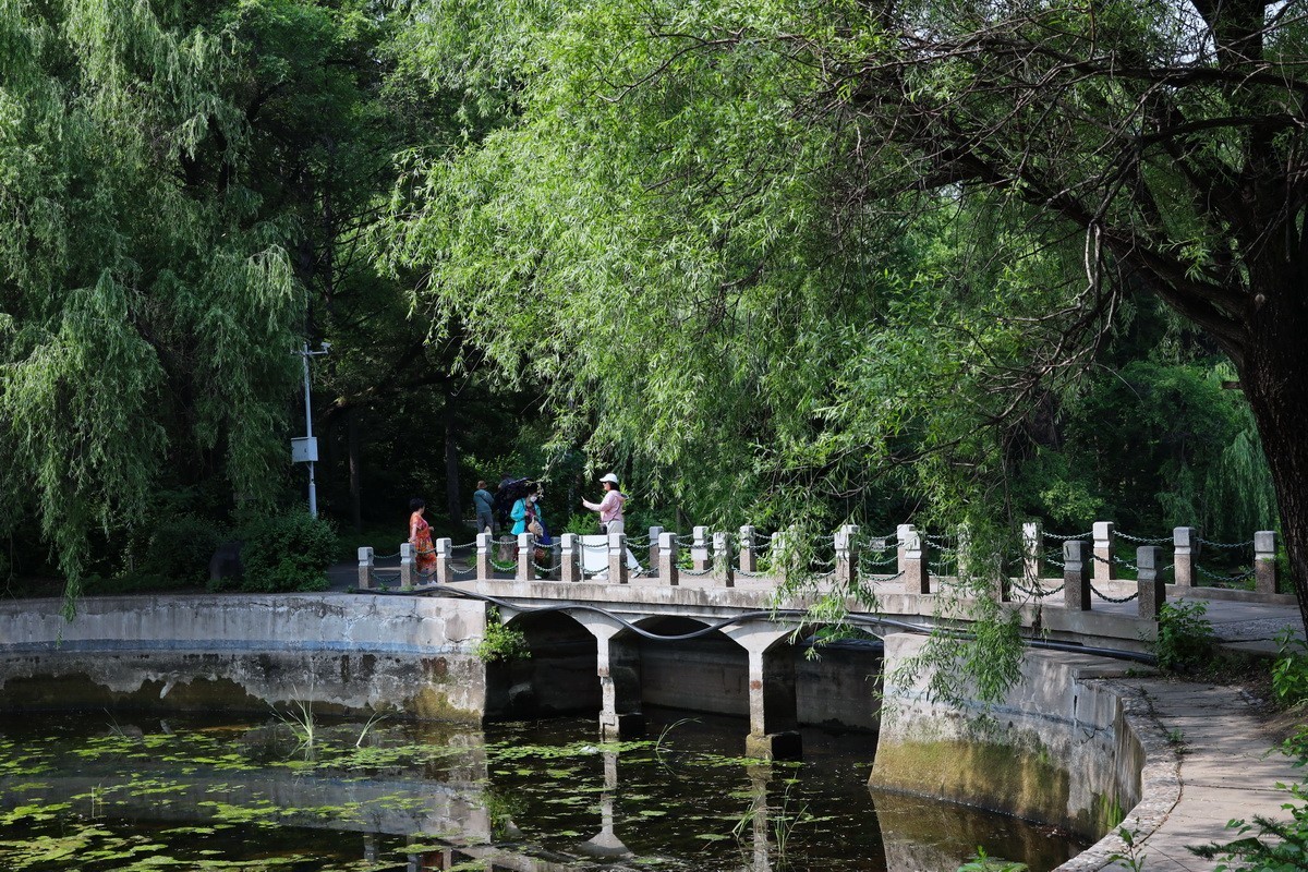 黑龙江森林植物园略影    2。