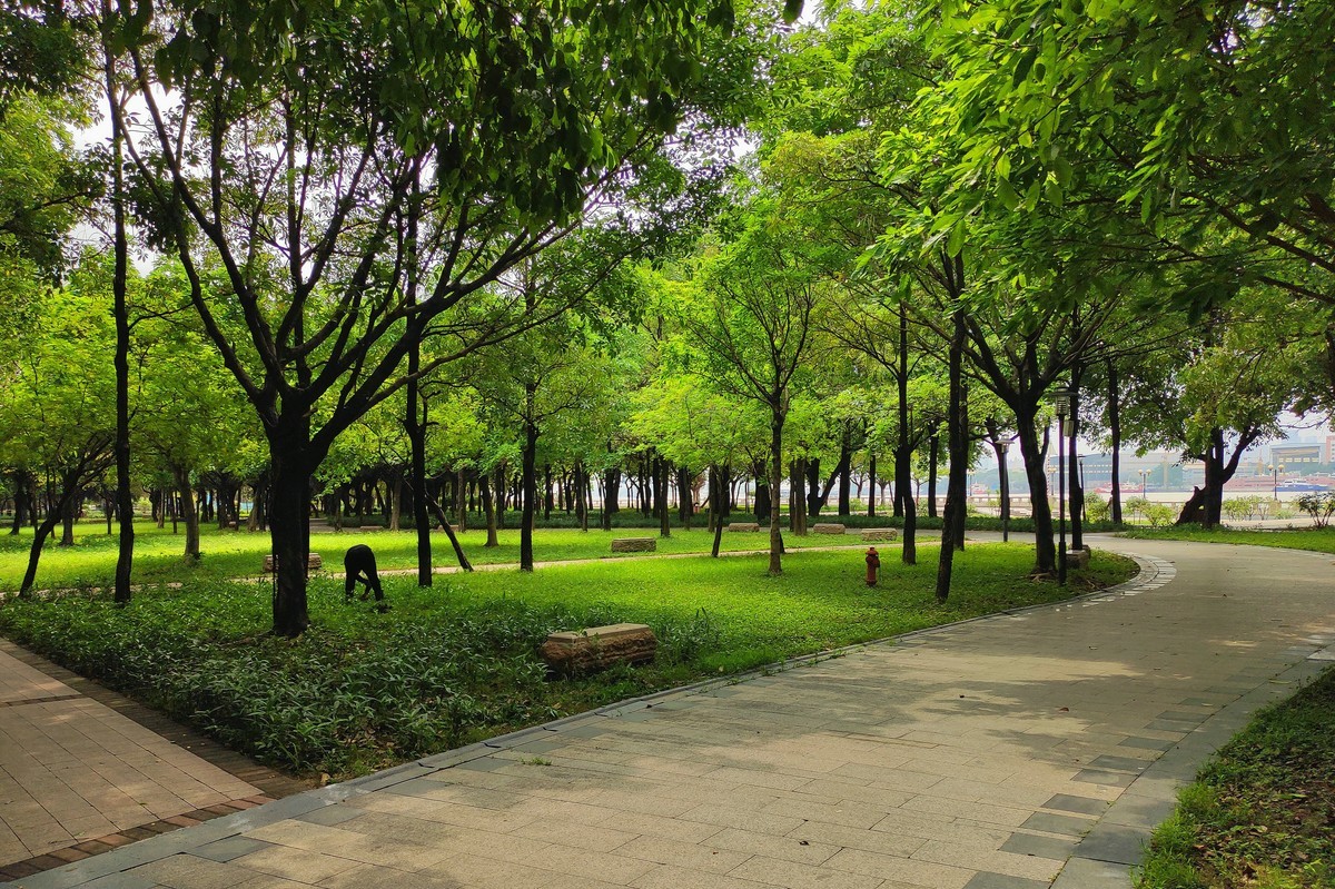 桥头公园。