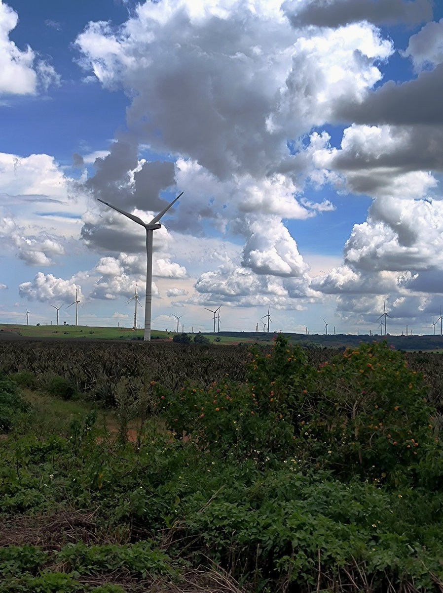 2024夏 海南环岛行（22）雷州