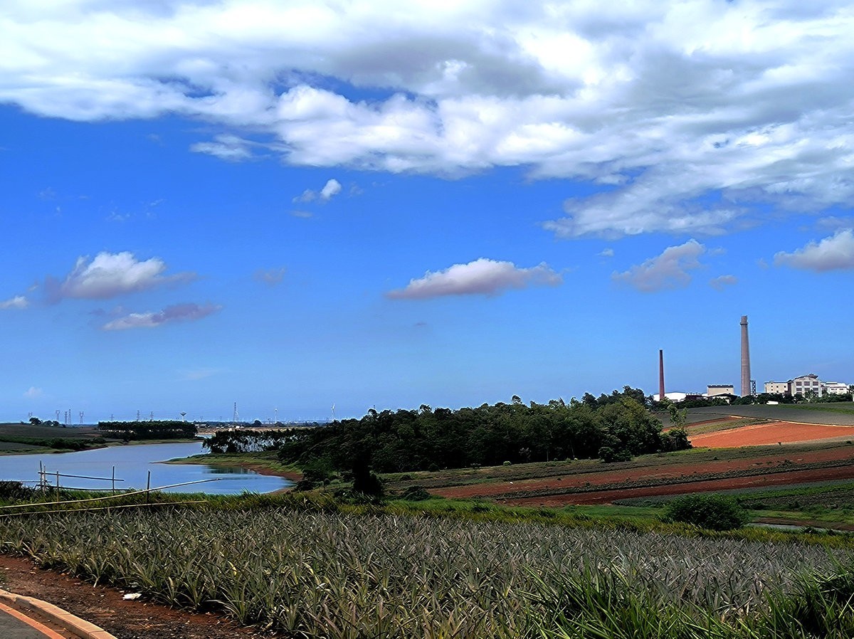 2024夏 海南环岛行（23）徐闻“菠萝的海”