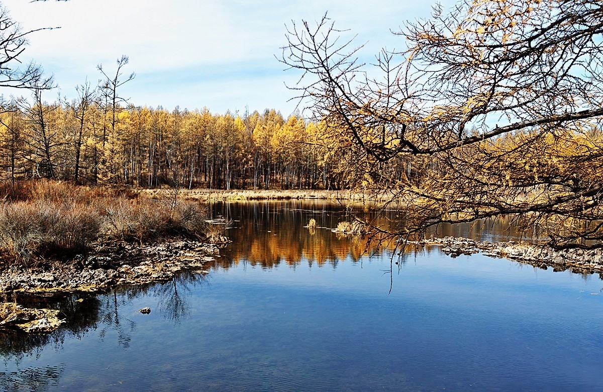 国庆跟团游#阿尔山国家森林公园风光