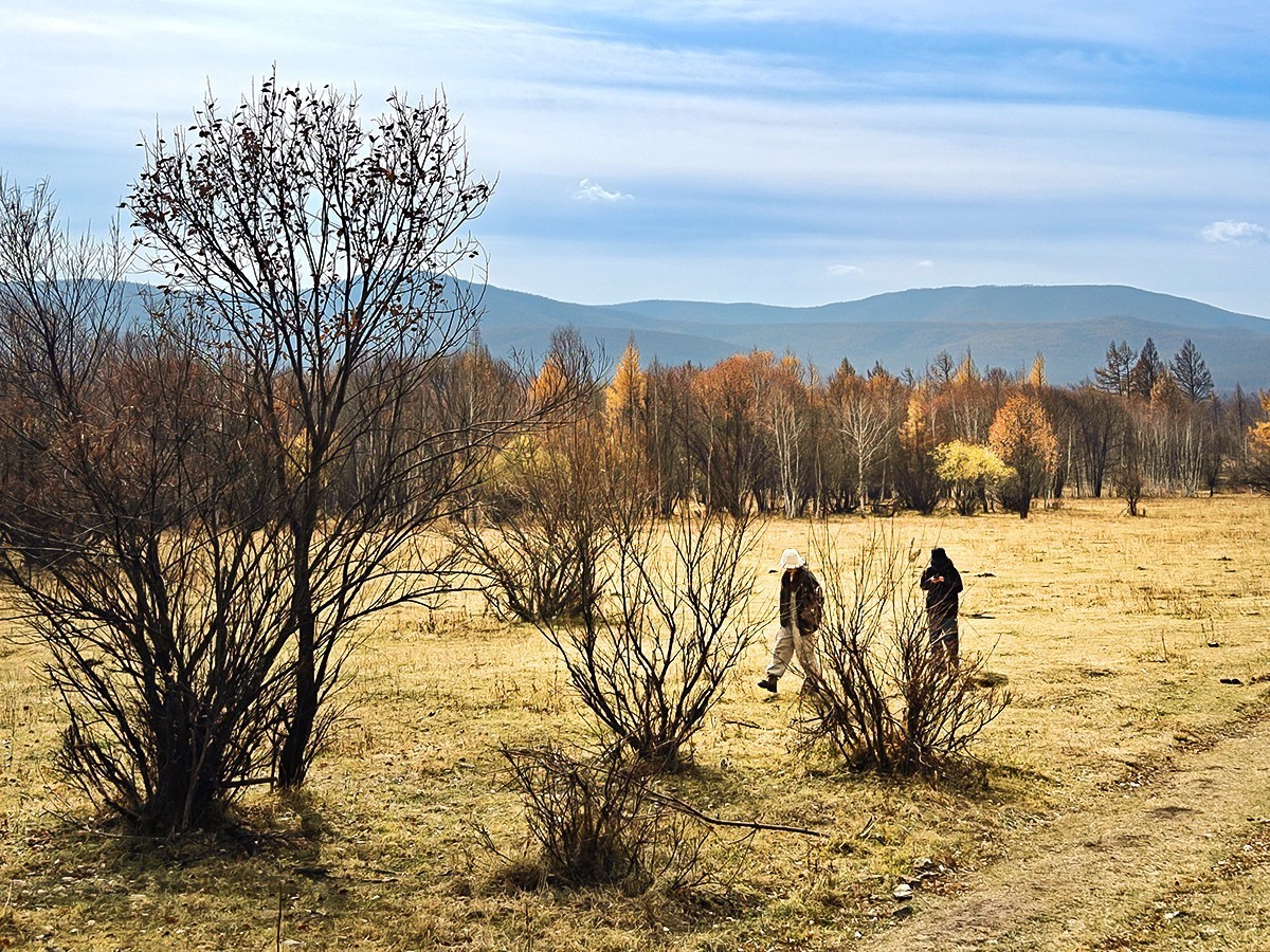 国庆跟团游#阿尔山国家森林公园风光
