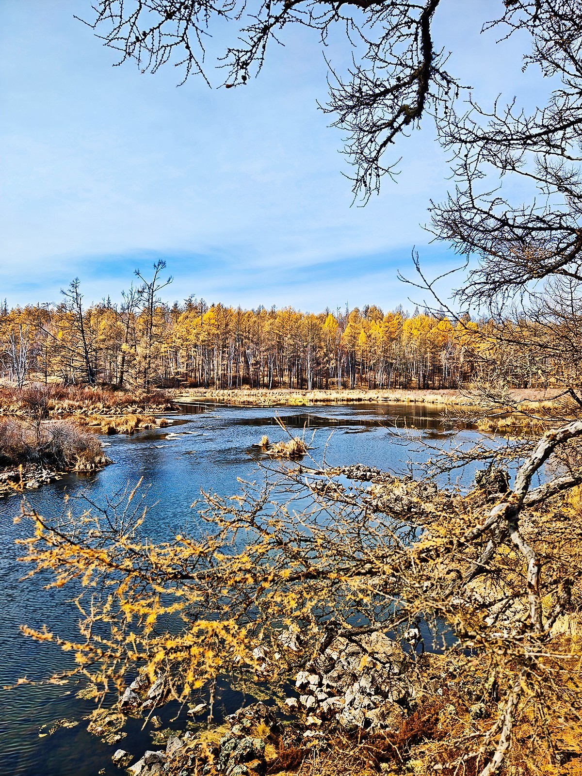 国庆跟团游#阿尔山国家森林公园风光