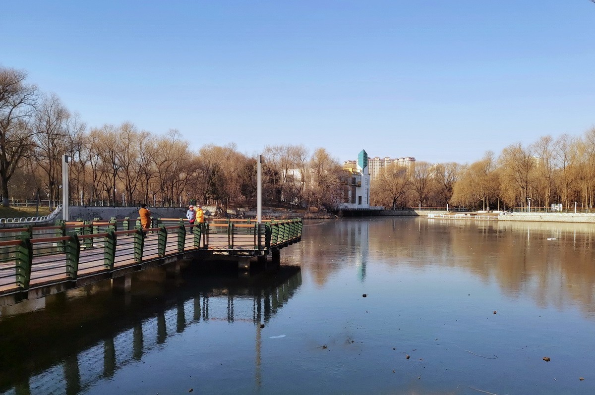 2024.11.19  哈尔滨仍无雪