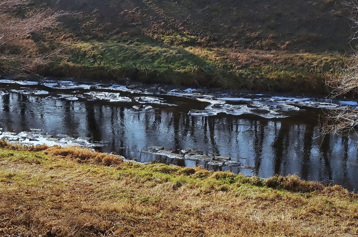 2024.11.19  哈尔滨仍无雪