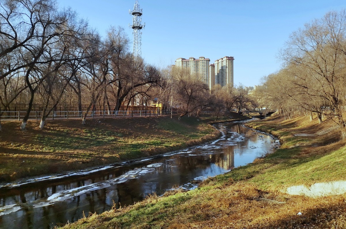 2024.11.19  哈尔滨仍无雪