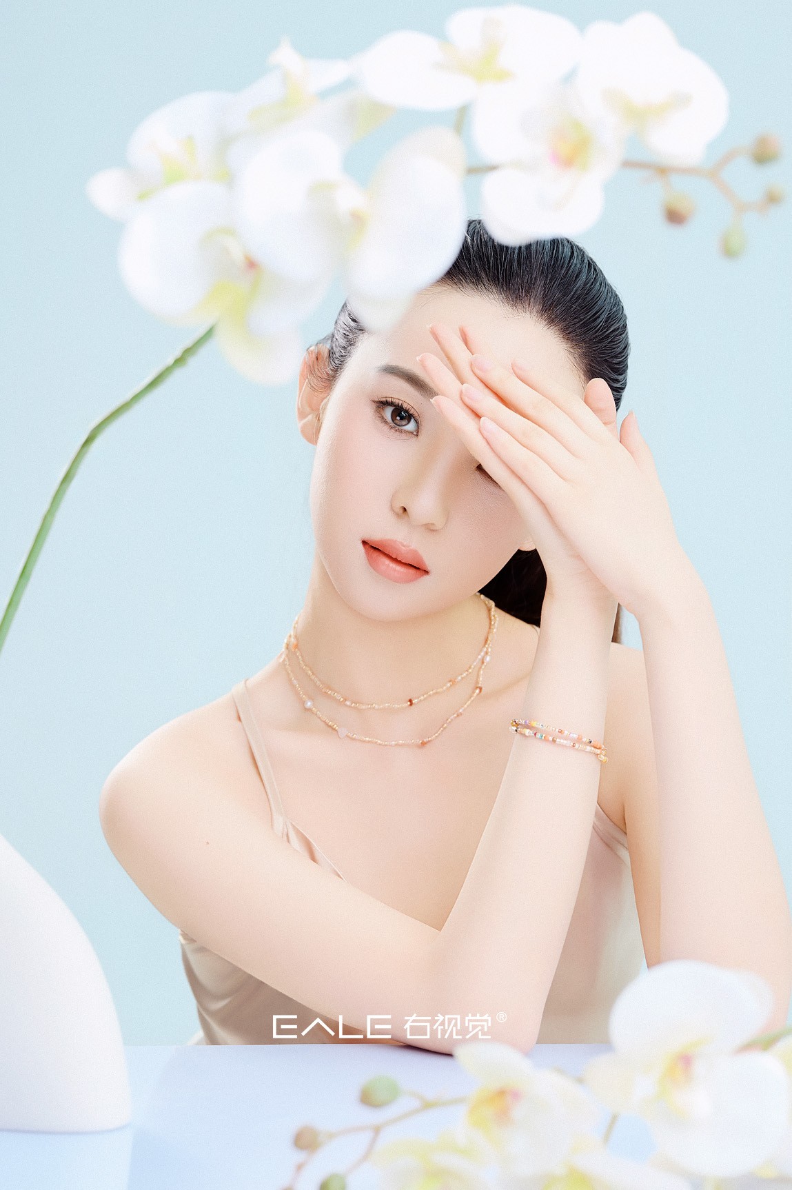 【右视觉摄影】芳华化蝶