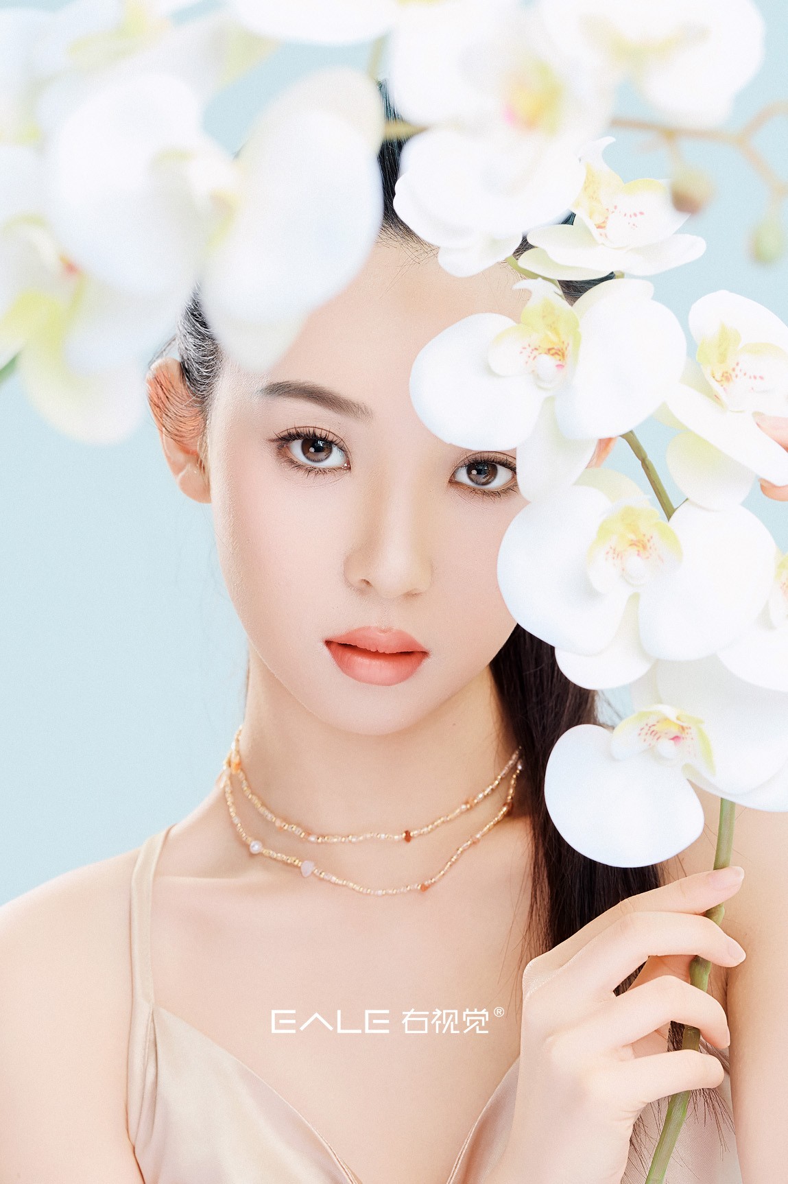 【右视觉摄影】芳华化蝶