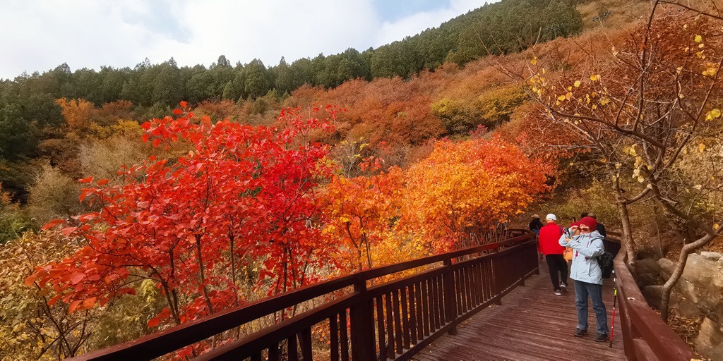雁栖湖西山步道秋色美!