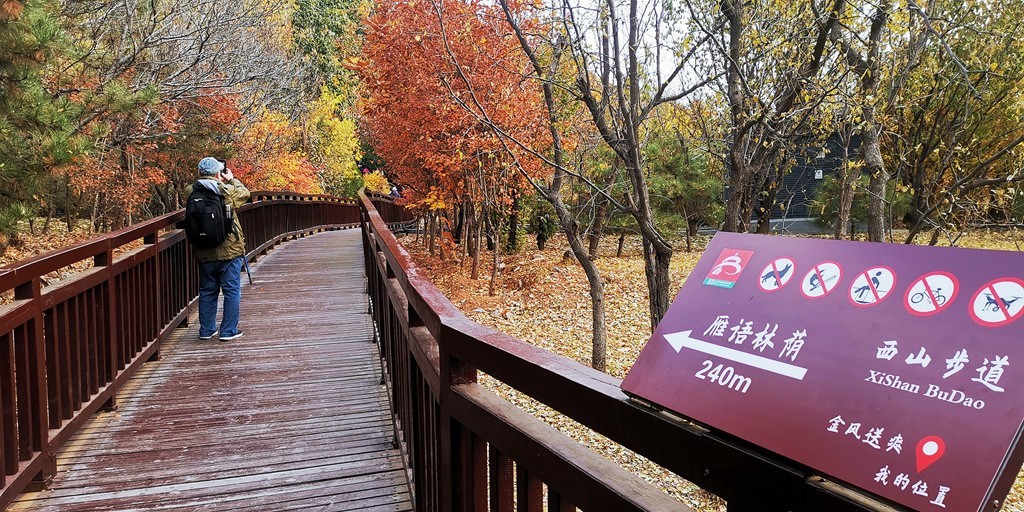 雁栖湖西山步道秋色美!