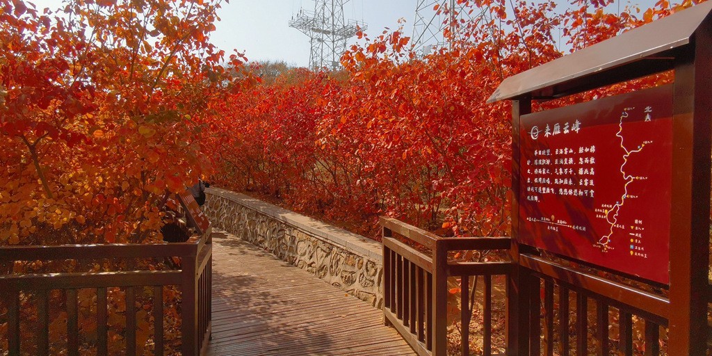 雁栖湖西山步道秋色美!