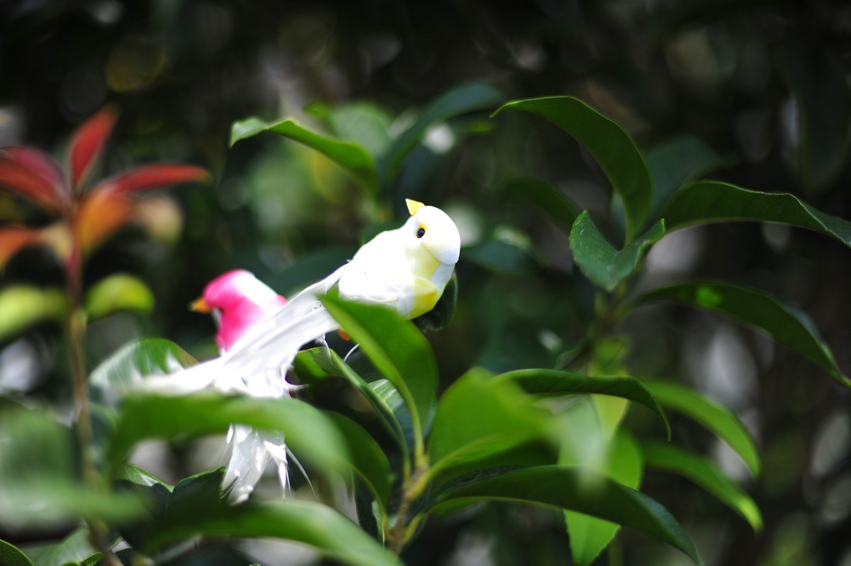 昆虫的世界怎么能少得了花