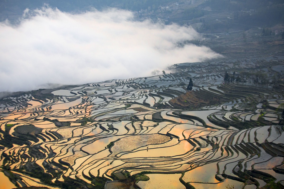 云南多依树梯田1
