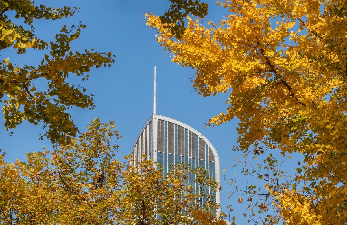 上海音乐厅旁的浪漫