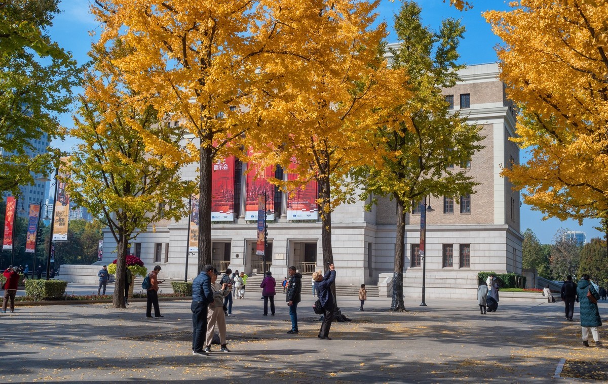 上海音乐厅旁的浪漫