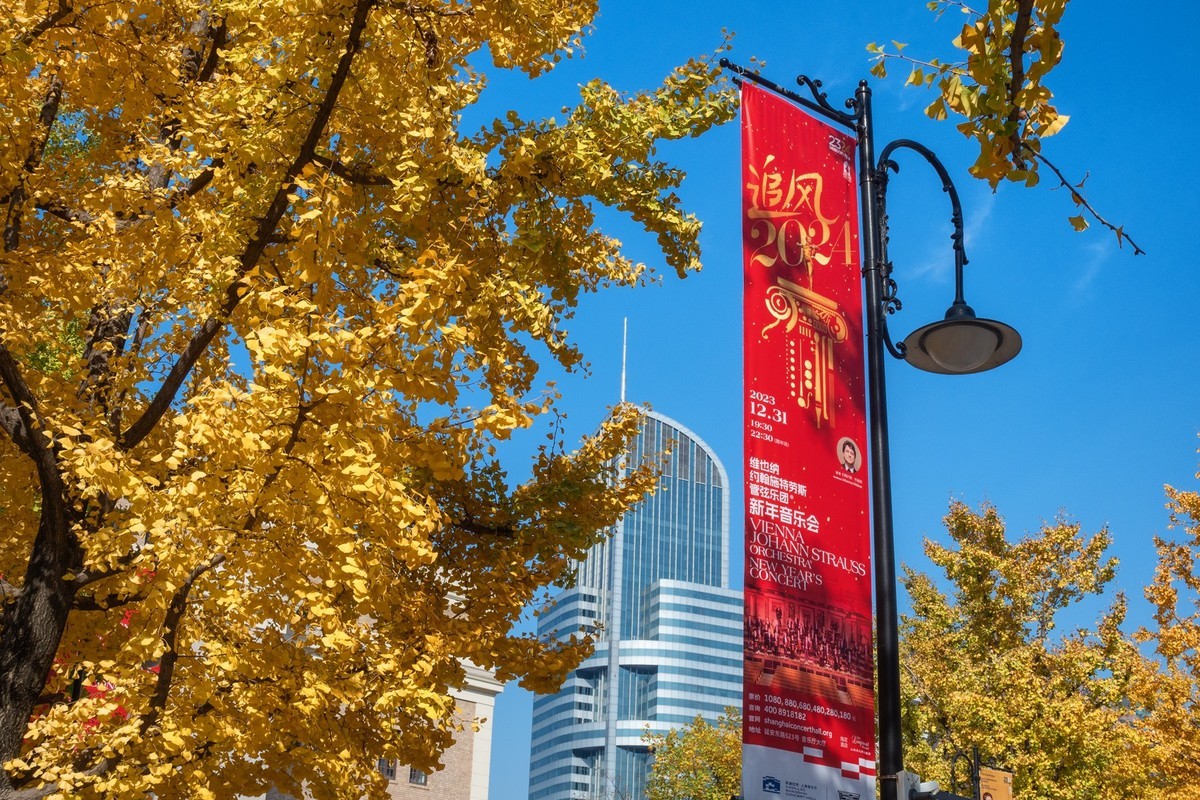 上海音乐厅旁的浪漫