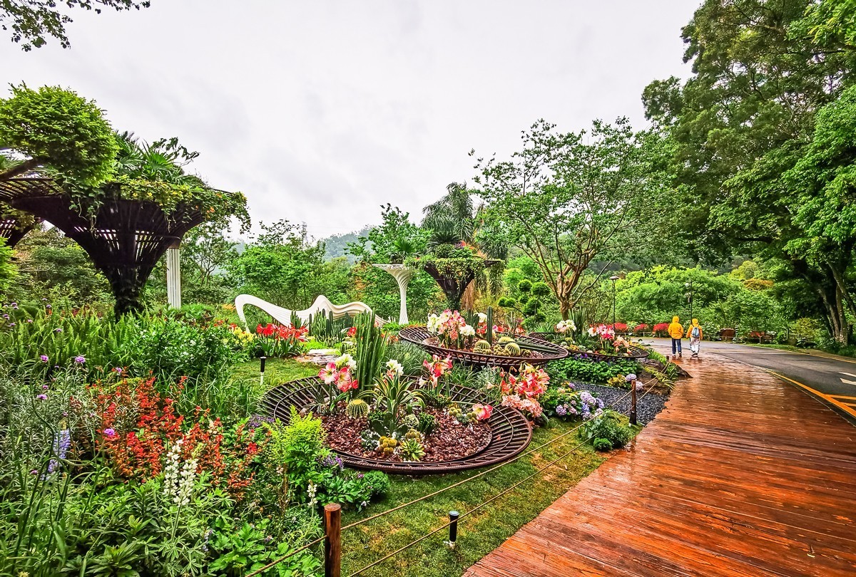 深圳仙湖植物园～ 掠影-中关村在线摄影论坛
