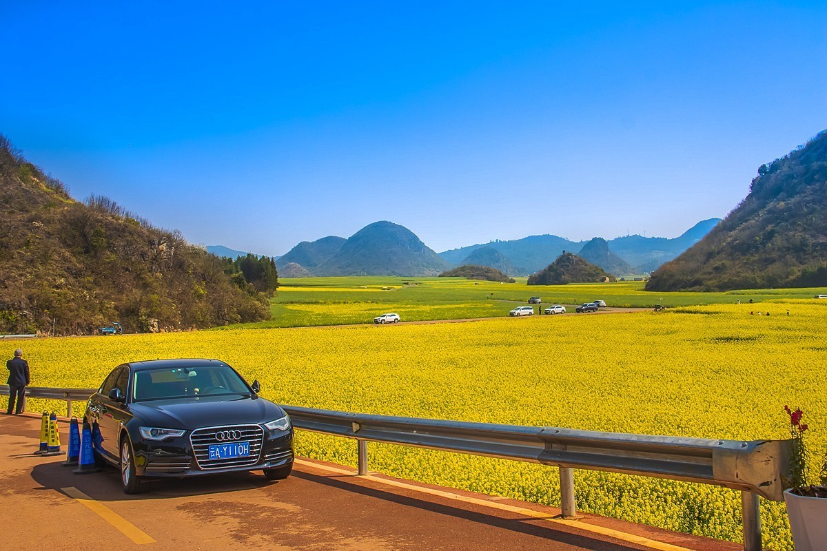 2024-10-05云南罗平金鸡峰油菜花海（九）