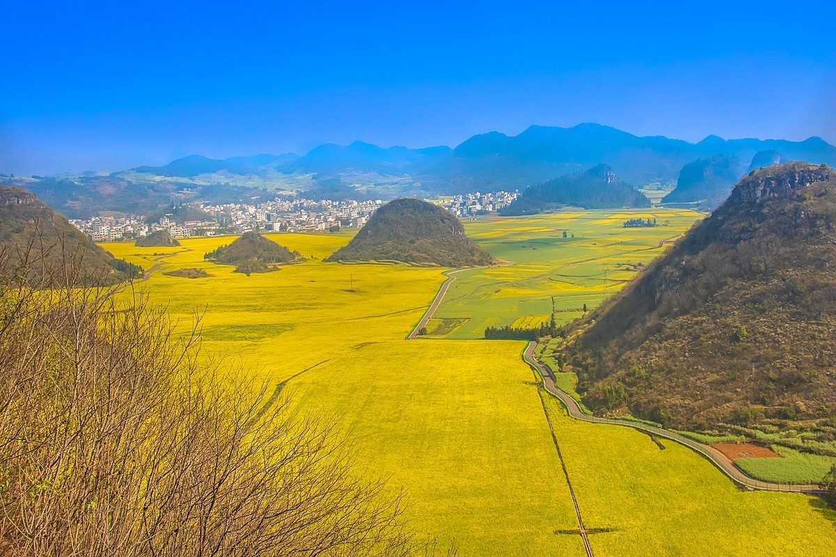 2024-10-05云南罗平金鸡峰油菜花海（九）