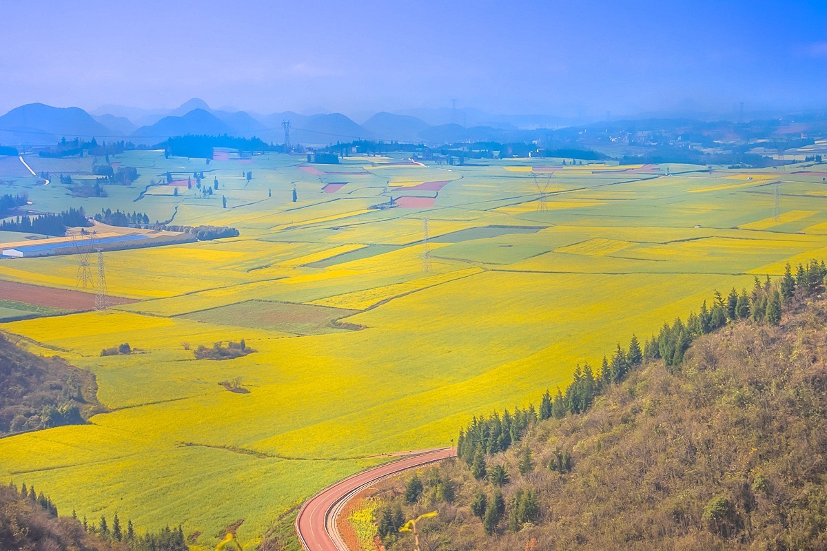 2024-10-05云南罗平金鸡峰油菜花海（九）
