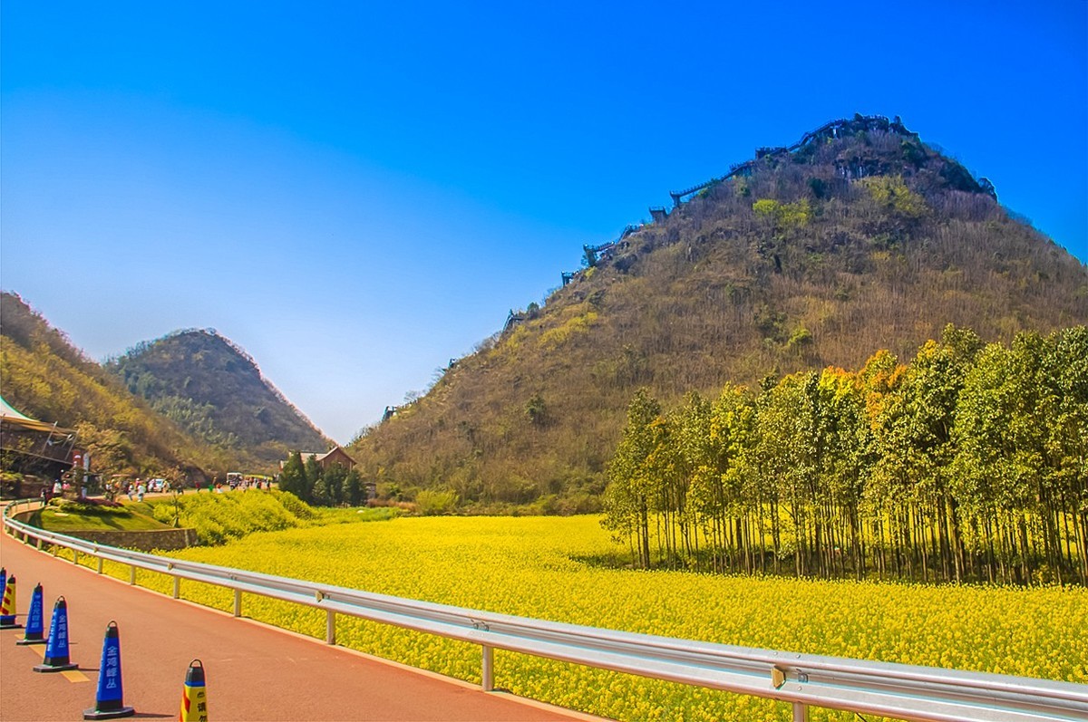 2024-10-05云南罗平金鸡峰油菜花海（九）