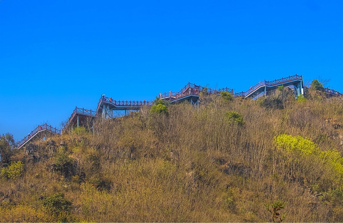 2024-10-05云南罗平金鸡峰油菜花海（九）
