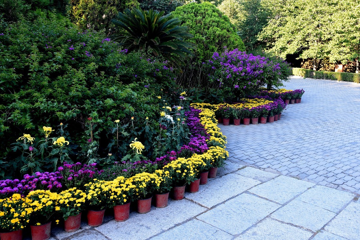 山海关 · 老龙头－宁海城掠影（续）