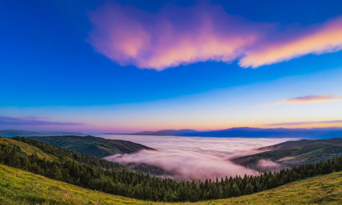 破晓时分的觉醒