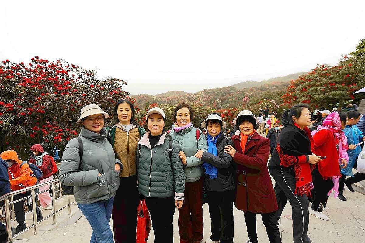 瞧——这些高兴的大妈们