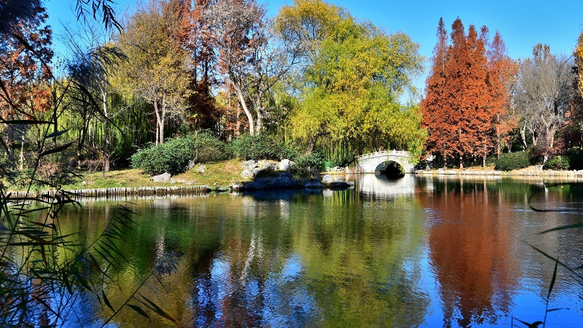 【视觉光影】明 湖 秋 色（8）