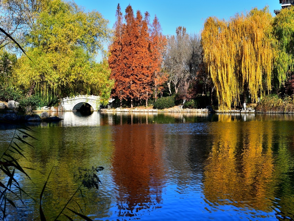 【视觉光影】明 湖 秋 色（8）