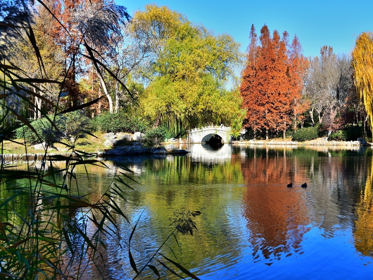 【视觉光影】明 湖 秋 色（8）