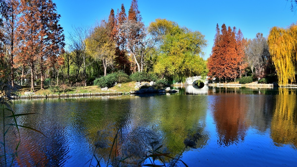 【视觉光影】明 湖 秋 色（8）