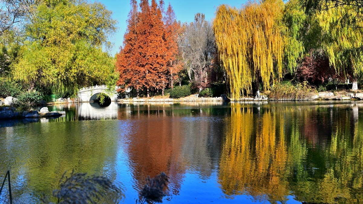 【视觉光影】明 湖 秋 色（8）