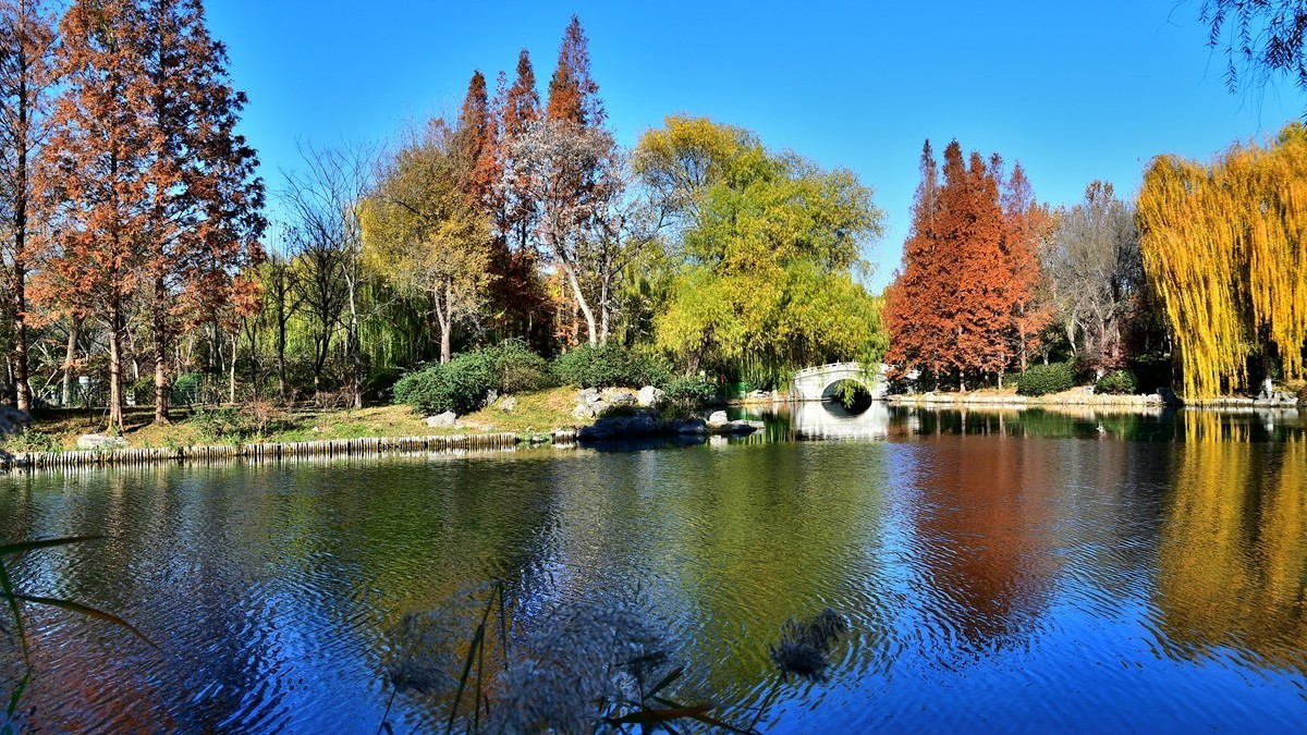 【视觉光影】明 湖 秋 色（8）