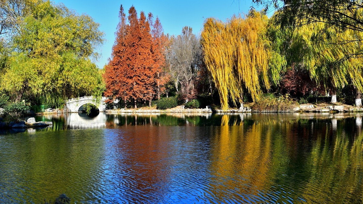 【视觉光影】明 湖 秋 色（8）