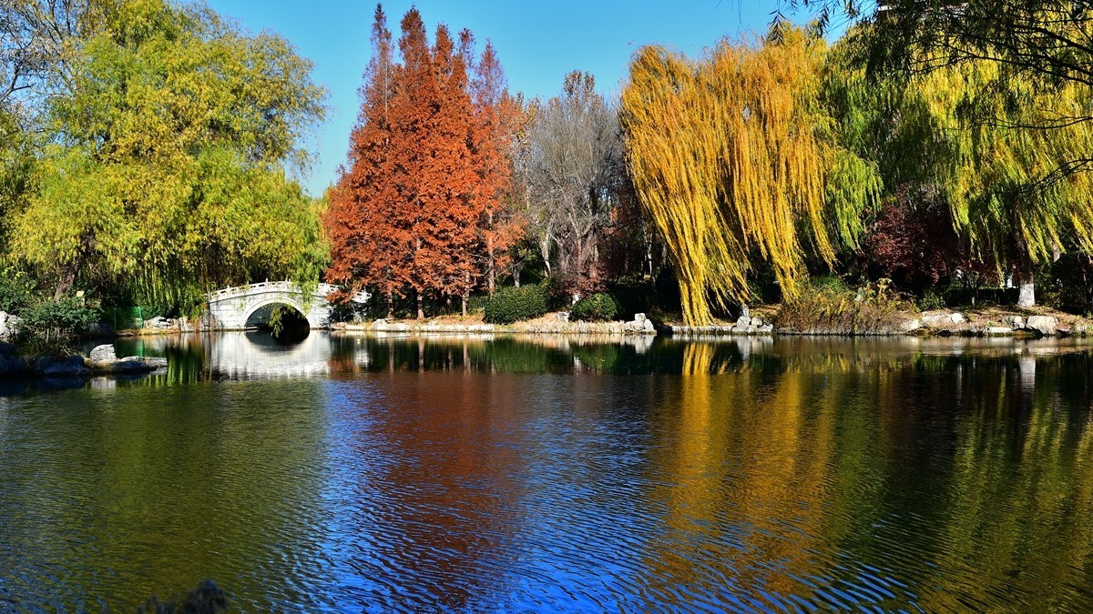 【视觉光影】明 湖 秋 色（8）