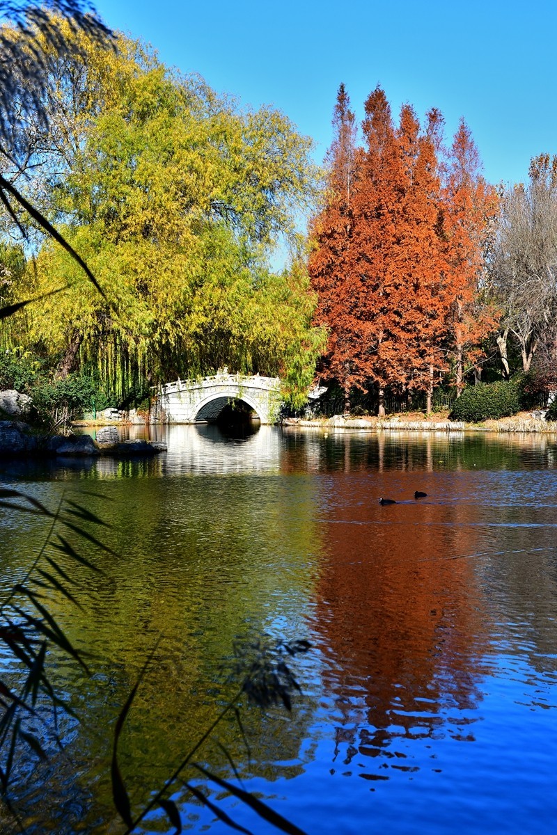 【视觉光影】明 湖 秋 色（8）