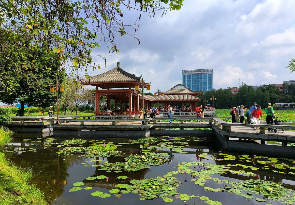 罗冲围公园。