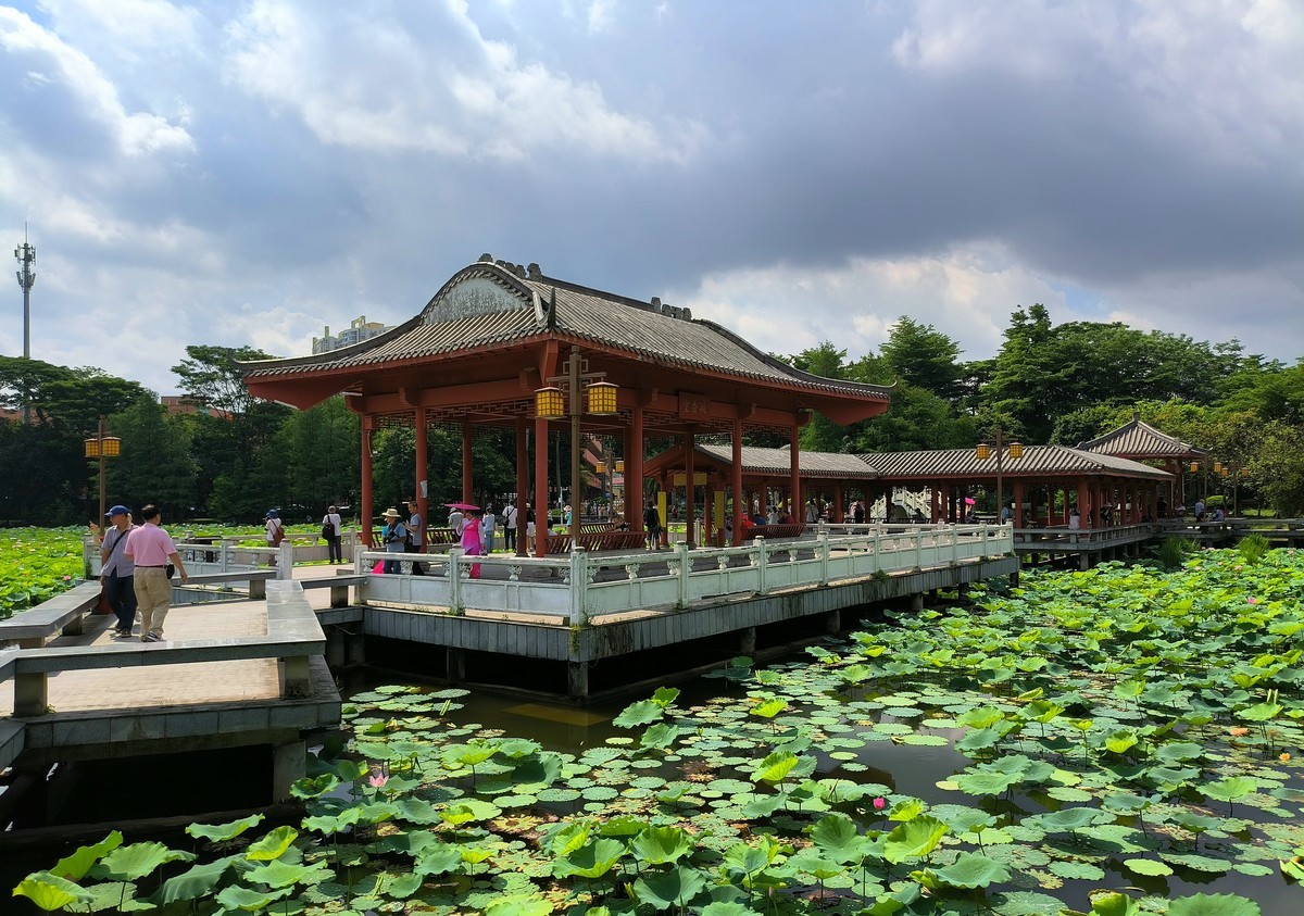 罗冲围公园。